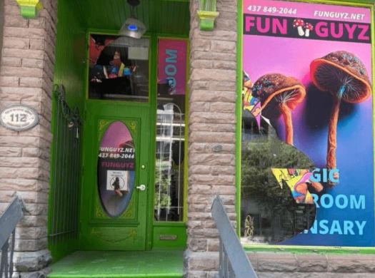 FunGuyz – Magic Mushroom Dispensary