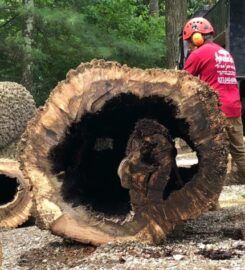Amazing Tree Services