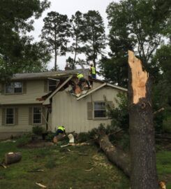 Amazing Tree Services