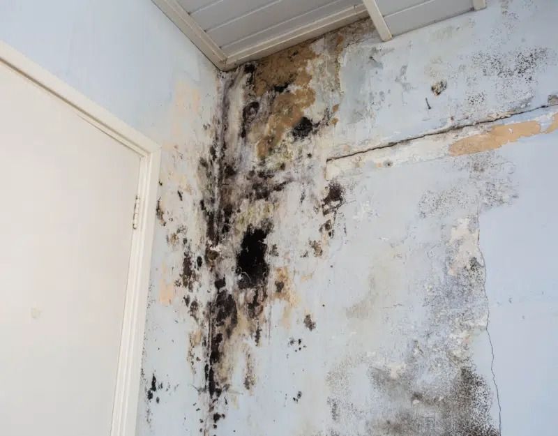 TMG Plumbing & Disaster Solutions
