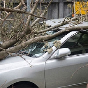 RiverTree Insurance