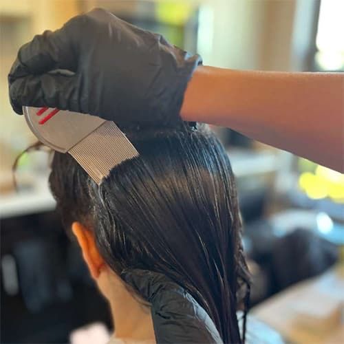 Lice Free Noggins Westchester – Natural Lice Removal and Li &hellip;