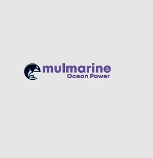 Mulmarine