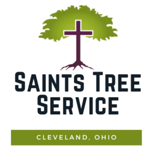 Saints Tree Service