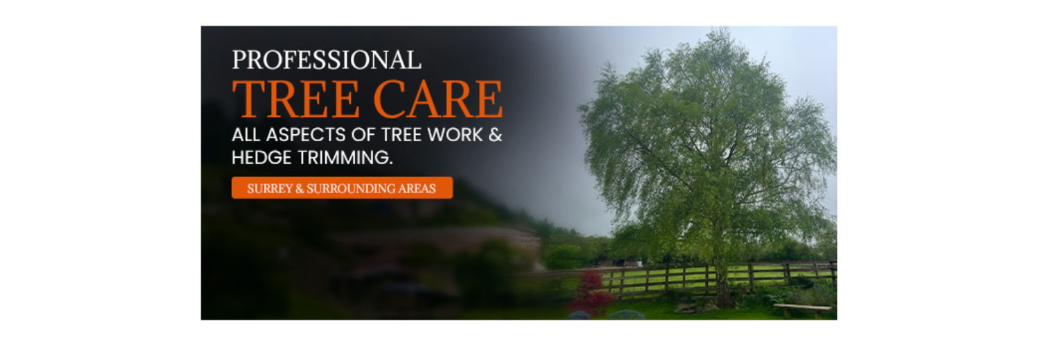 NGH Tree Care