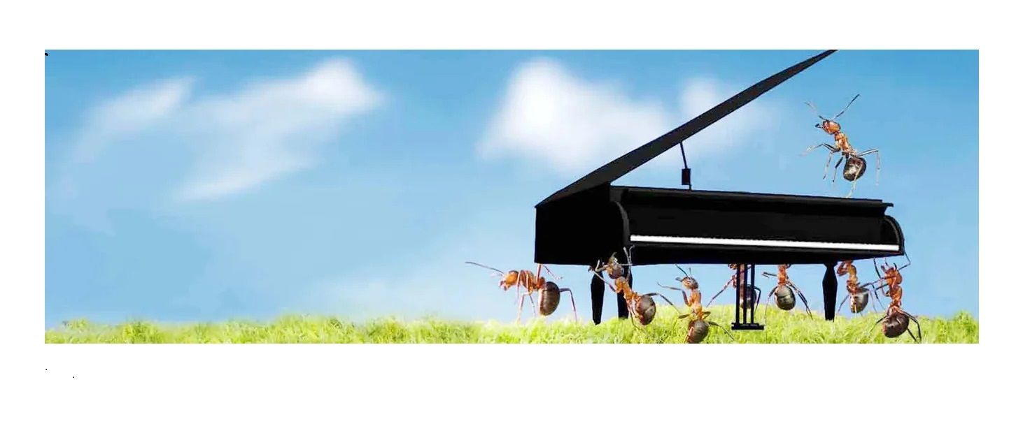 Sydney Piano Removals