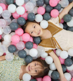 Autism Learn Play Inc.