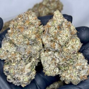 Uper Weed in Ottawa