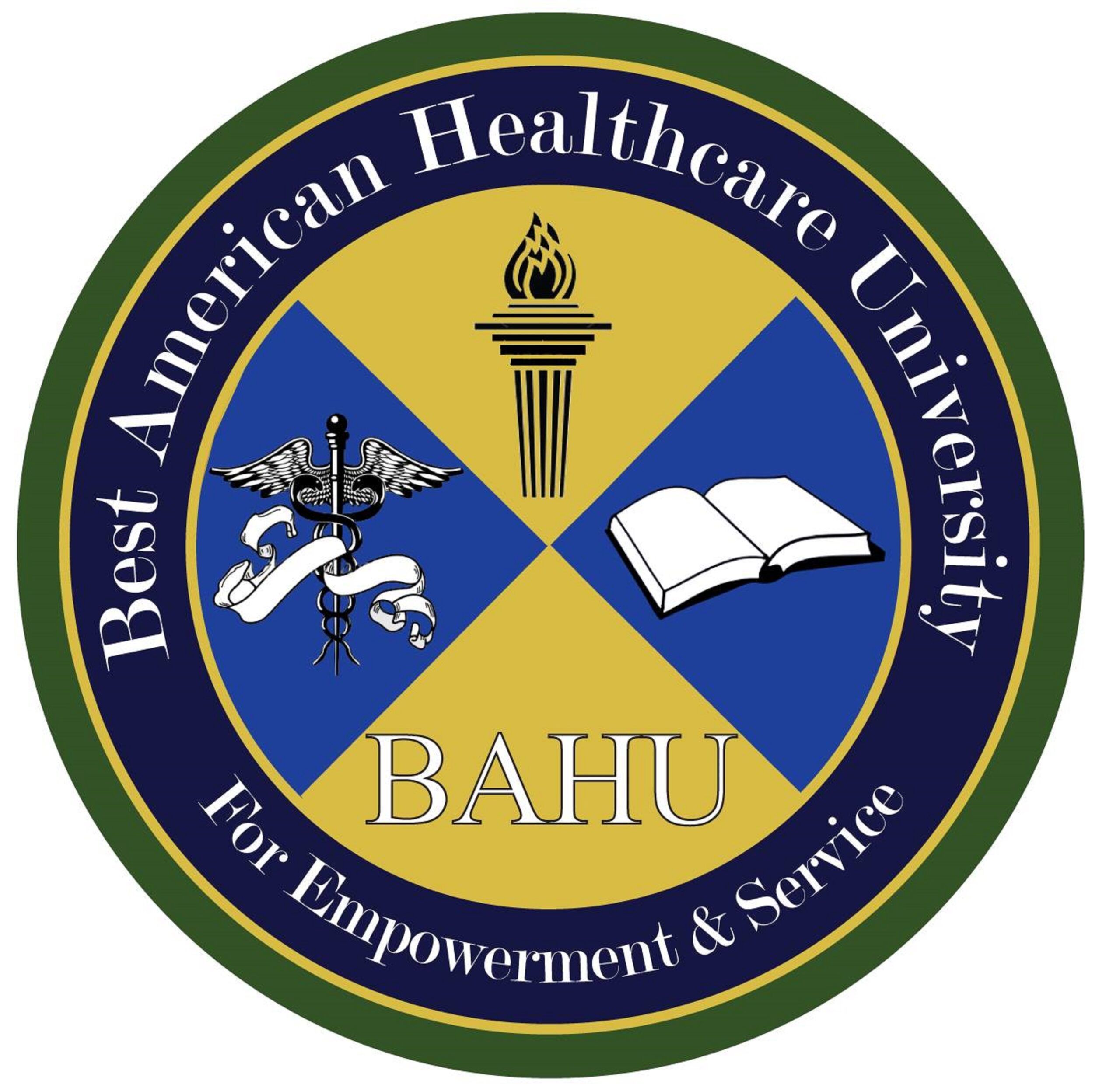 Best American Healthcare University