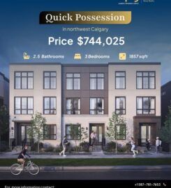 Alberta Property Group | Real Estate Buy & Sell Experts