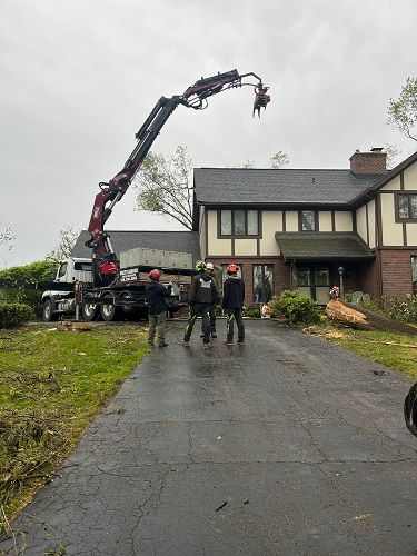 Holtslander And Sons Tree Service