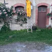 Urgence Frelons Allier