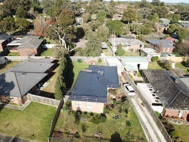 Modern Seal Roofing Roof Restoration Company