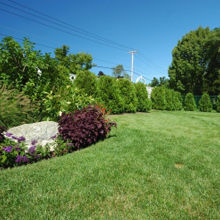 Affordable Landscape & Maintenance