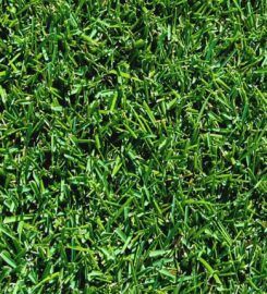 Hi Quality Turf Sydney