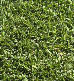 Hi Quality Turf Sydney