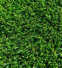 Hi Quality Turf Sydney