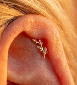 Platinum Point Piercing