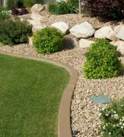Tree World Landscaping