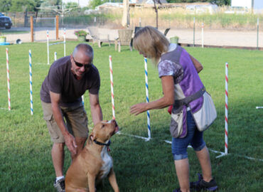 The K9 Coach