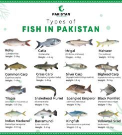 Pakistan National Fish