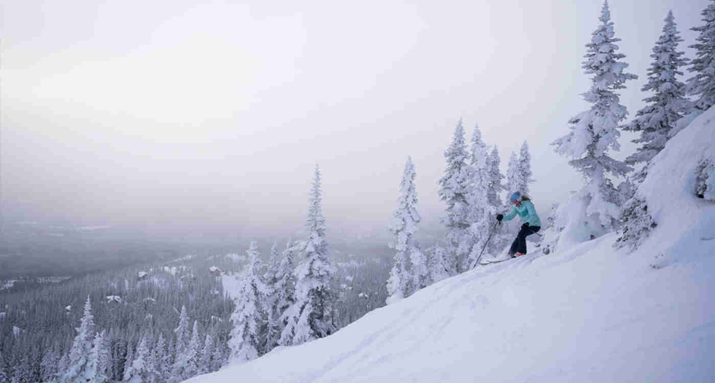 Woman skiing downhill in fresh powder conditions, lots of snow on the trees, misty skies on Hudson Bay Mountain in Smithers BC
