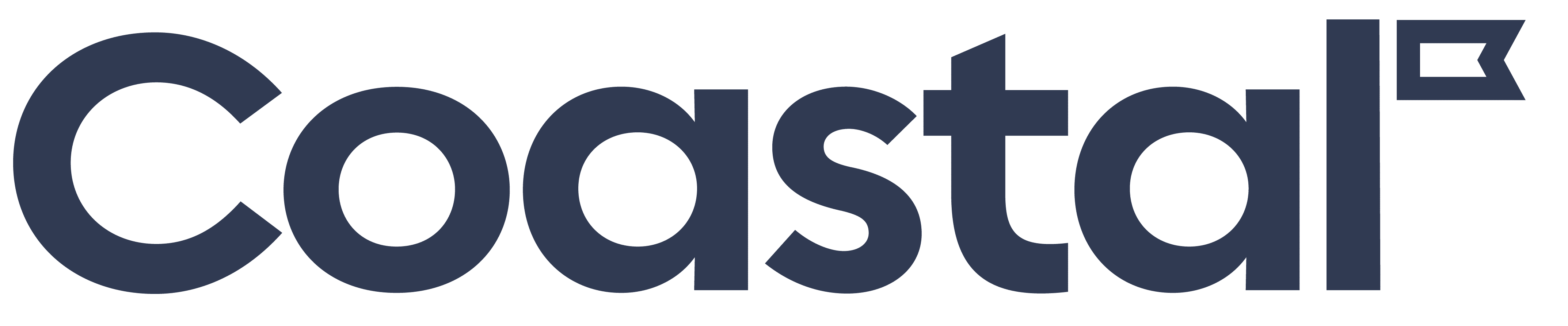 home logo