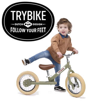 trybike trike