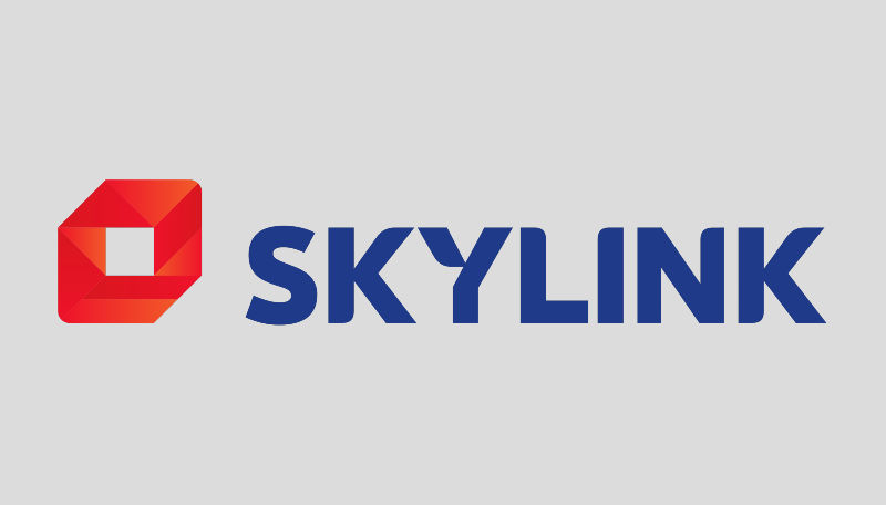 Skylink offers 4 channels in open window in January, drops certain others