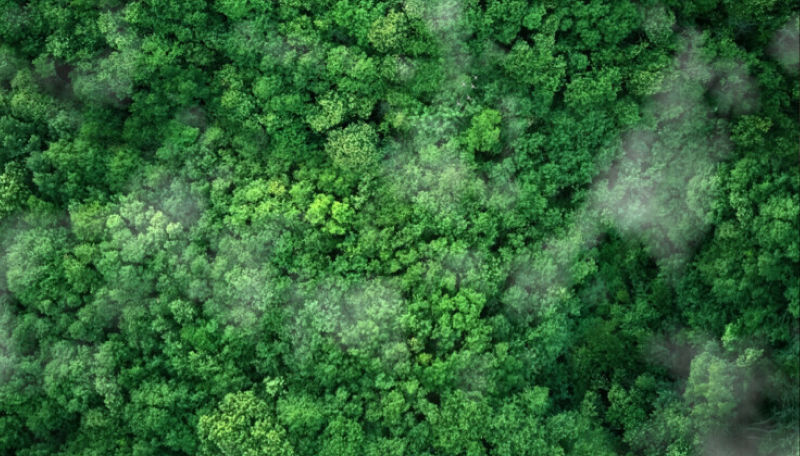 Orange advances net zero carbon roadmap with partner Camusat