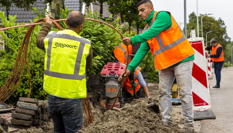 Glaspoort in maart actief in Arcen en Lomm (Limburg)