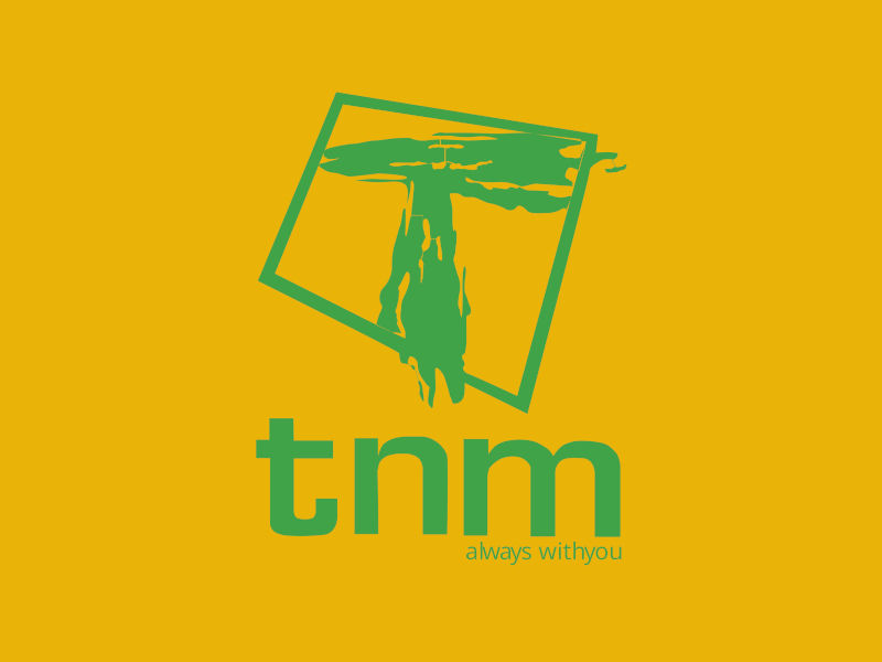 TNM sees FY net profit more than doubling