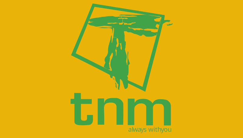 TNM sees FY net profit more than doubling
