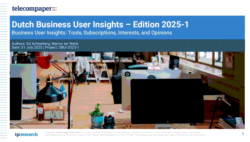 Dutch Business User Insights 2025-1