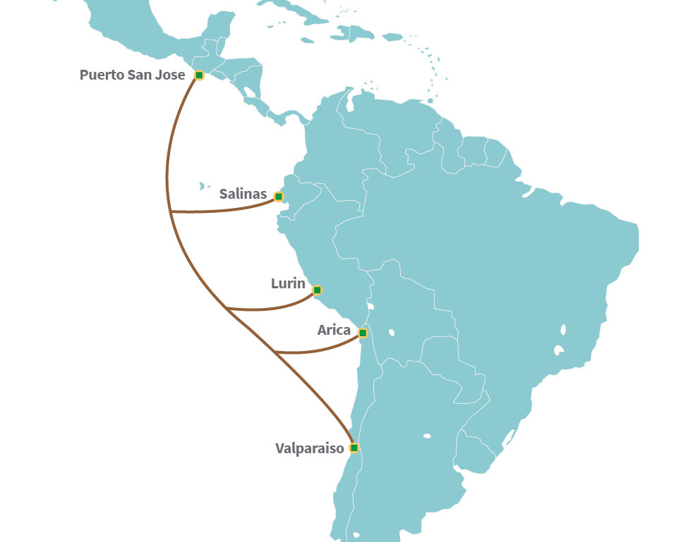 America Movil and Telefonica's Telxius announce new Pacific undersea cable