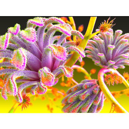 Vodafone, EE offer new iPaid Air, updated iPad models