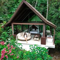 Jungle Spa