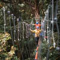 Arboreal-challenge course