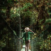 Sky Walk - hanging bridges