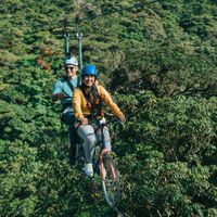 Arboreal- challenge course