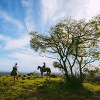 View Point HorseBack Riding