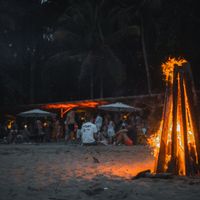 Bonfire 