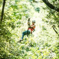 Zipline 
