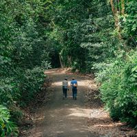 Tucanes Tours- Manuel Antonio National Park
