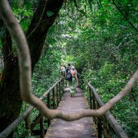 Tucanes Tours- Manuel Antonio National Park