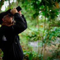 Sloth Tour Watching
