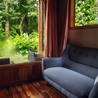 Family Suites Room