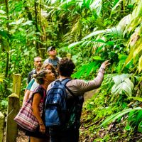 Canoa Aventura Arenal Volcano and La Fortuna Waterfall