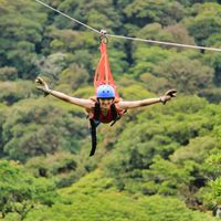 Canopy Tour