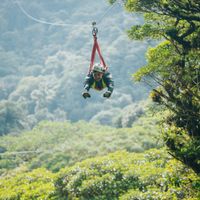 Canopy Tour